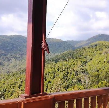 Maliana Homestay Munduk Exterior foto