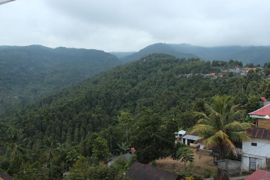 Maliana Homestay Munduk Exterior foto